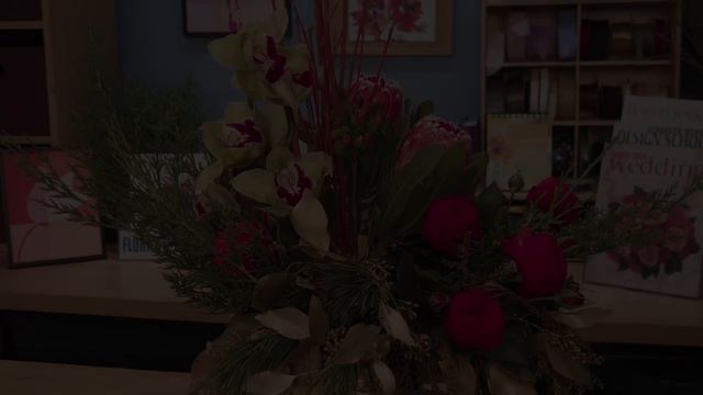 FR Presents: Cutting Poinsettia Blooms смотреть онлайн