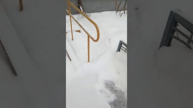 Снег "вдруг" выпал в Москве - или, как Жилищник НЕ убирает снег - Часть_1 смотреть онлайн