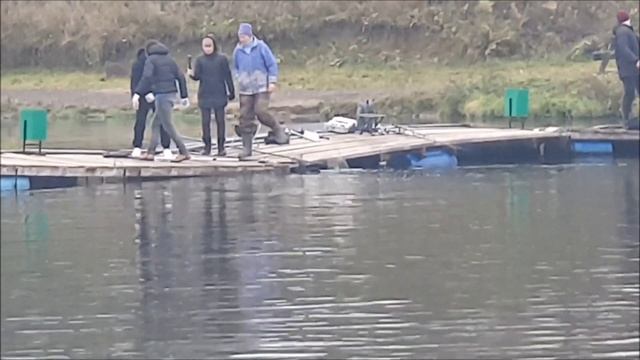 Клев продолжается и после обеда. Клевое место д.Савельево смотреть онлайн