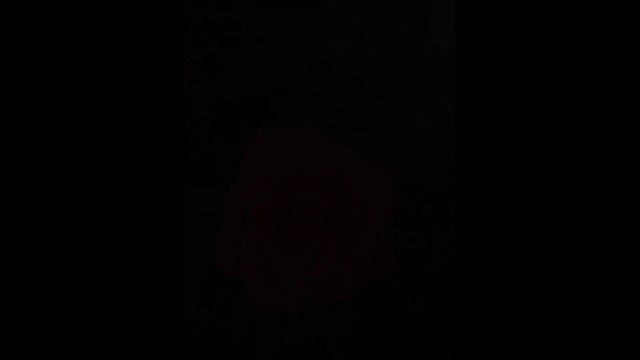 Первое цветение моих роз video 1.3. смотреть онлайн