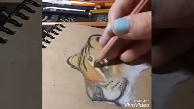 Рисую львицу цветными карандашами смотреть онлайн