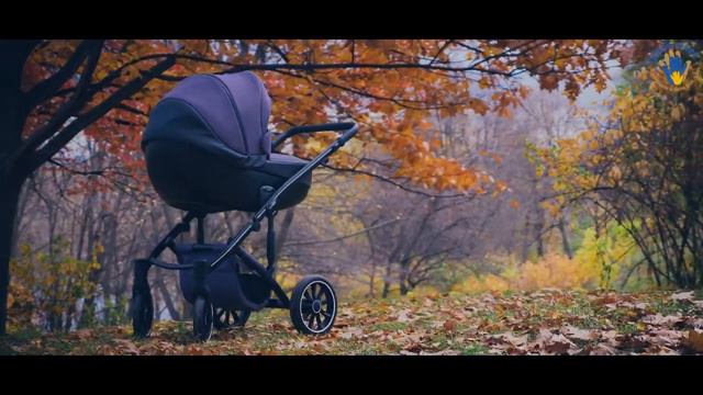 Отличия колясок Anex m/type и Anex e/type смотреть онлайн