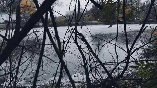 VID 20231031 162534 Лучники (Федерико Гарсиа Лорка)...Павел Васильев Лахтинский смотреть онлайн