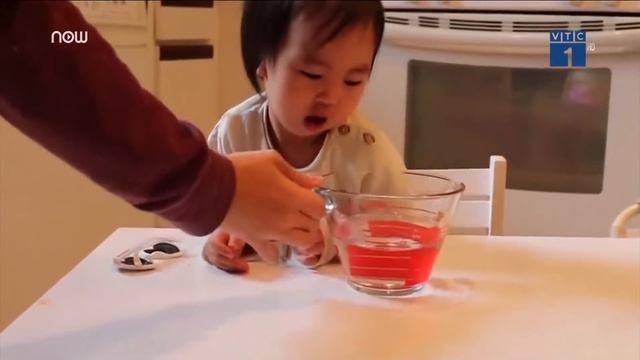 Cô bé 2 tuổi dạy làm pizza gây sốt | VTC1 смотреть онлайн