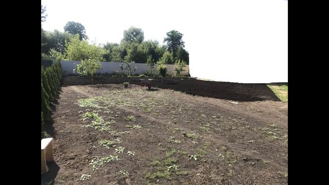 ОКР, как я преодолевал обострения? смотреть онлайн