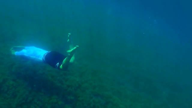 Сергей Перминов Подводное плавание Sergei Perminov Diving смотреть онлайн