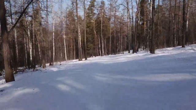 Завьялиха 04.03.2022 смотреть онлайн