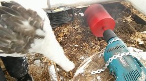 САМЫЙ ЧЕСТНЫЙ Обзор перосъемной насадки для водоплавающих птиц на дрель