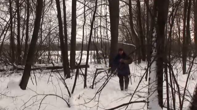 По кабаньим следам в Первушино. смотреть онлайн