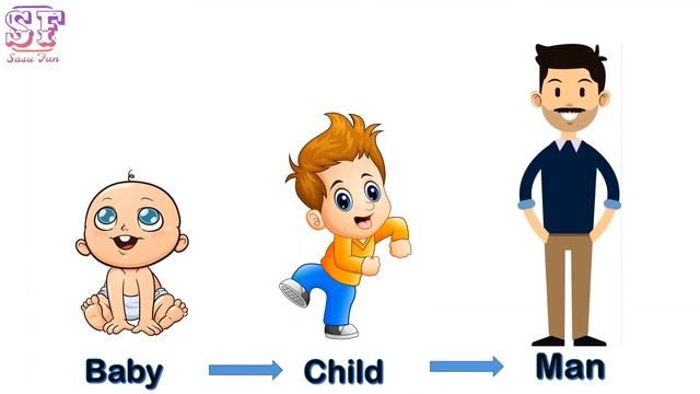 living things | living things and nonliving things | Living and non living things for kids in hindi смотреть онлайн