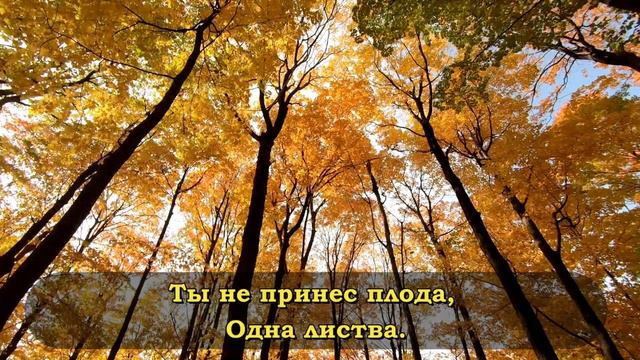 Одна листва - христианская песня смотреть онлайн