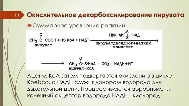 Лекция 4 ЭНЕРГЕТИЧЕСКИЙ ОБМЕН (Часть 1)