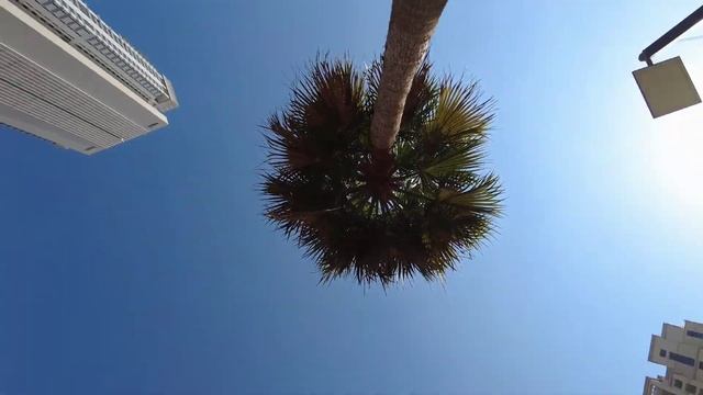 ИЗ КАЗАХСТАНА В ДУБАЙ! БУРДЖ-ХАЛИФА, ДУБАЙ МАРИНА, ФОНТАНЫ И ДРУГИЕ ПРИКЛЮЧЕНИЯ СМОТРИ В НОВОМ ВЛОГ смотреть онлайн