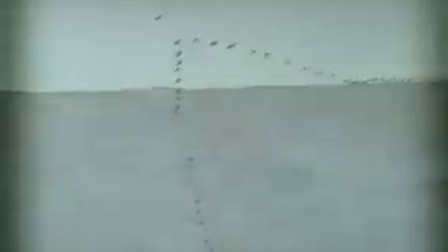 БАЛТИЙСКАЯ КОСА смотреть онлайн