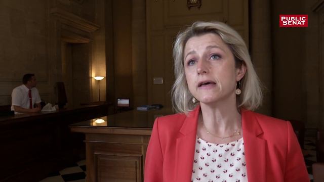 Barbara Pompili sur l'accord entre députés et sénateurs sur le projet de loi biodiversité смотреть онлайн