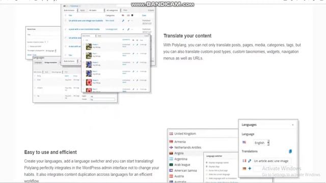 Polylang -allows you to create a bilingual or multilingual WordPress site-Wordpress Plugins смотреть онлайн