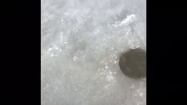 Зимняя рыбалка щука Астраханская обл.с.Житное 16 января 2016. смотреть онлайн