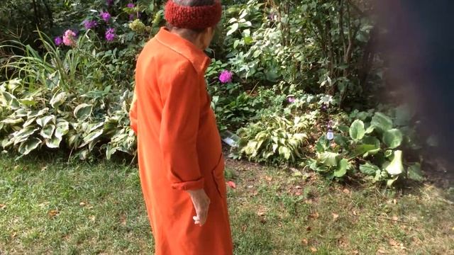 Как научить кошку ходить змейкой Mother trains cat смотреть онлайн