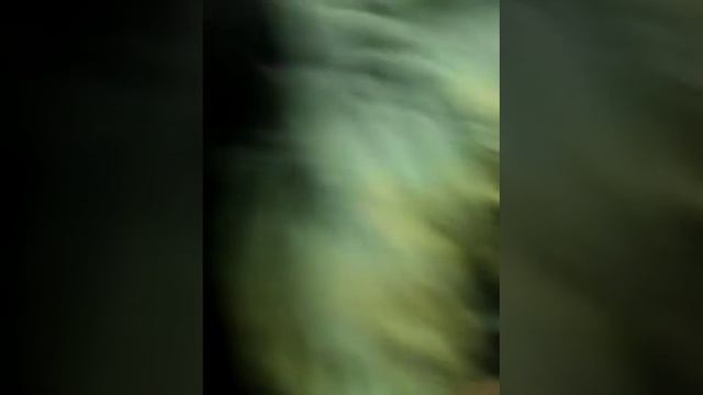 Нам теперь отменили 2 урока и я снимаю происзодящее смотреть онлайн