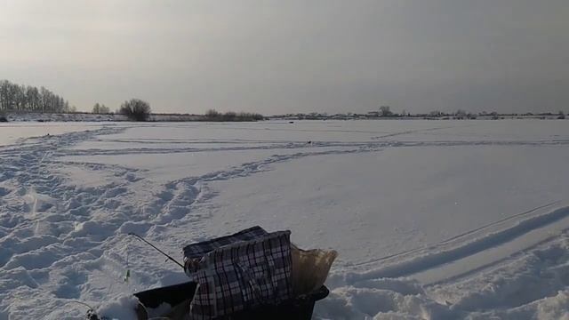 Съездил за щукой на алабугу за ? километров #щуканажерлицы#щуказимой#рыбалка смотреть онлайн