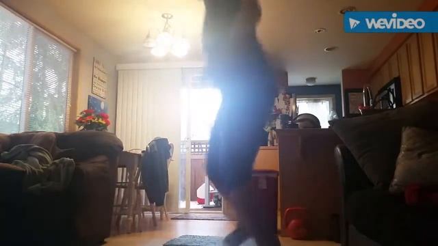 21 Day Fix смотреть онлайн