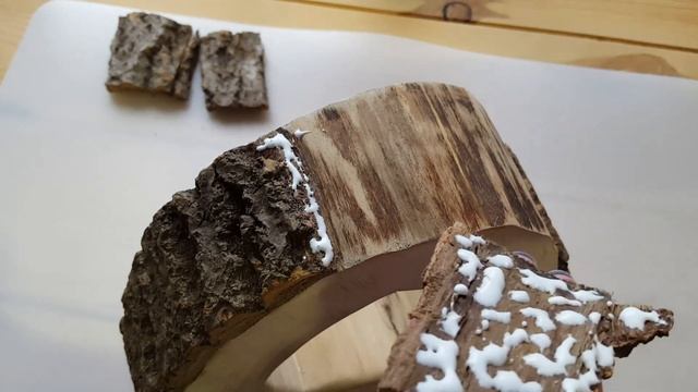 Ваза Из Спила Дерева И Колбы. Поделки Из Дерева Своими Руками! (100% Необычная Ваза) смотреть онлайн