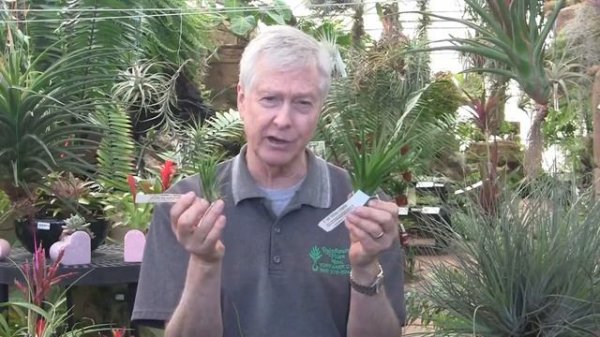 Tilly Talk with Paul Isley