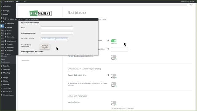 B2B Market AddOn: Registrierung смотреть онлайн