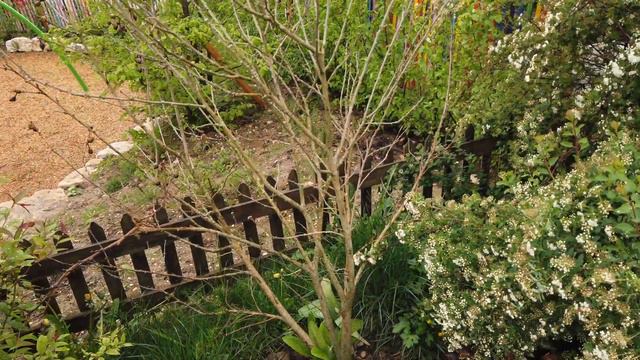 VLOG: Маша, Глаша и Даша