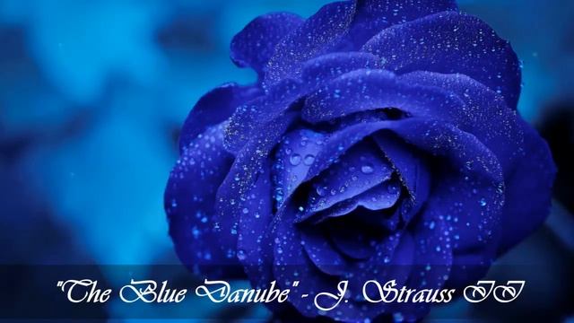 Classical Music For Weddings. Wedding Bridal March, Entrance, Waltz, Romantic Songs & Music