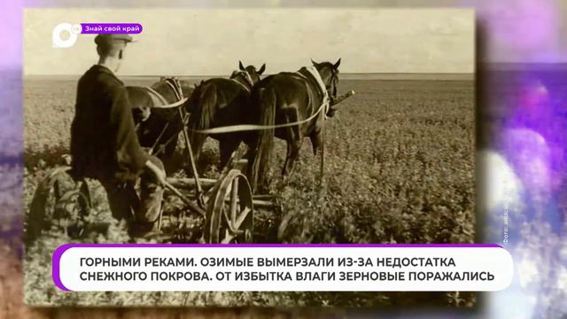 Знай свой край / Пьяный Хлеб смотреть онлайн