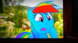 Мой маленький пони в реальной жизни автор (StormXF3)