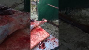 Для охотников: Разделка оленя, задок.