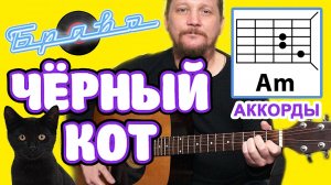ЧЕРНЫЙ КОТ - ГРУППА БРАВО (КАК ИГРАТЬ НА ГИТАРЕ) ПРОСТАЯ ПЕСНЯ (АККОРДЫ БЕЗ БАРРЭ + БОЙ) COVER