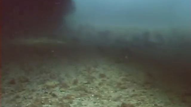 Черное море, погружение в районе Витино смотреть онлайн