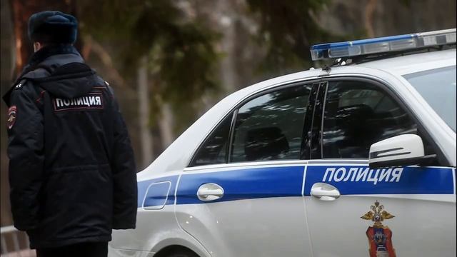 На Урале нашли двух 11-летних мальчиков, которые выжили благодаря собакам смотреть онлайн