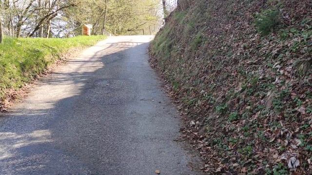 Архитектура Мысли