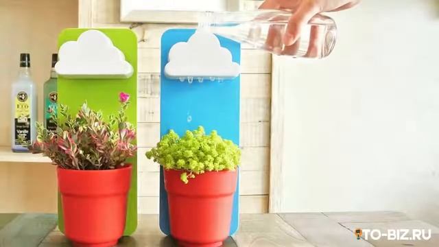 Топ 20 новых бизнес идей из США и Европы актуальны сегодня смотреть онлайн