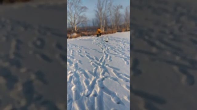 Рыбалка на окуня смотреть онлайн