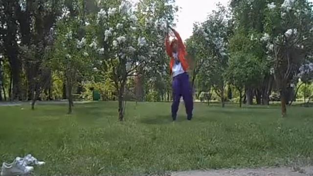 Kaoshiki in arboretum. смотреть онлайн