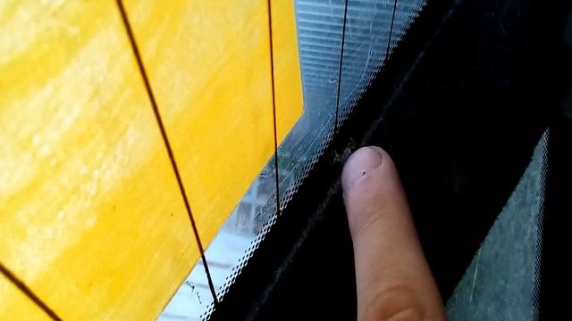 Ремонт ВАЗ своими руками