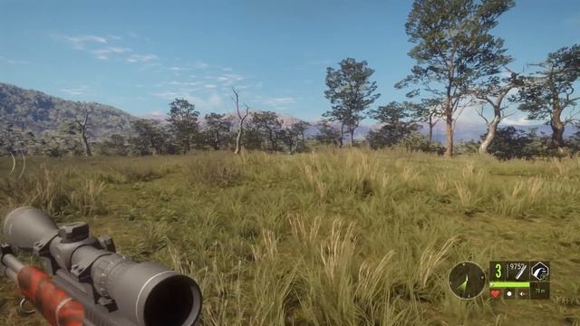 Testing the Mule Deers After the Fix! смотреть онлайн