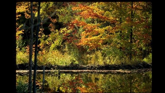 Осень элегия Пушкин А.С. смотреть онлайн