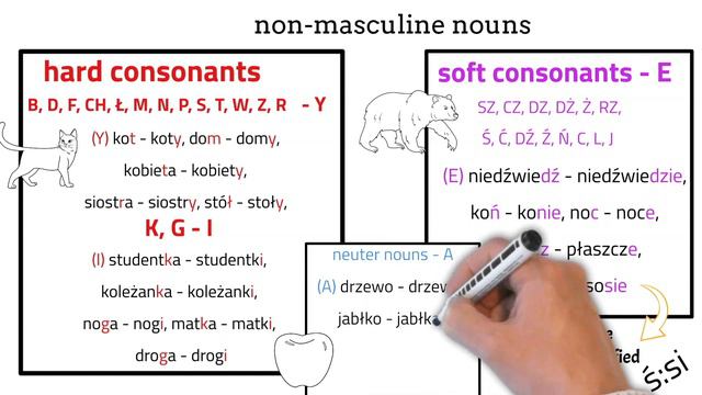 Singular and plural gender in the nominative case in Polish/ l. mnoga w mianowniku смотреть онлайн