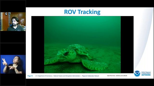 NOAA Live! Webinar 56 - Seeing the World Through a Sea Turtle's Eyes смотреть онлайн