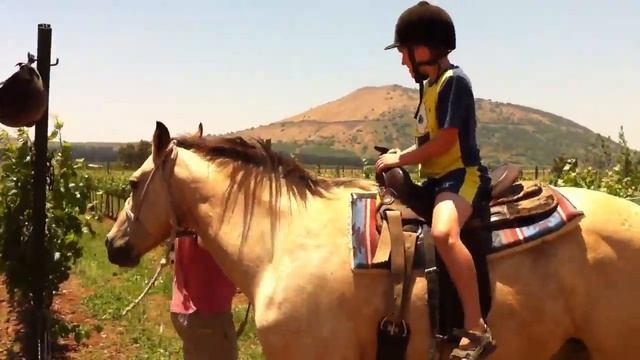 Merom Golan - Shavuot 2011 смотреть онлайн