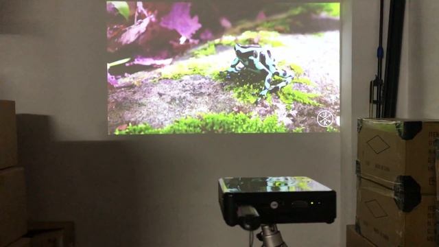 Smartldea 4K Android7.1.2 Mini Dlp Projector Handheld Beamer 8000mAh Battery HD 1080P Home Proyecto