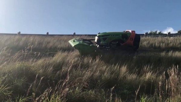 All Green Climber Models