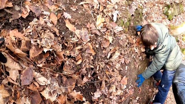 мы едем в хартс на горы⛰️ смотреть онлайн