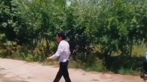 ЗАНГИ ОХИР ДАВРАИ МАКТАБИ